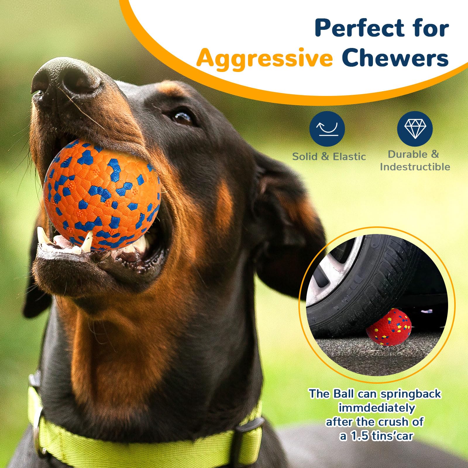Raised convex points visible on a Petcare dog ball.