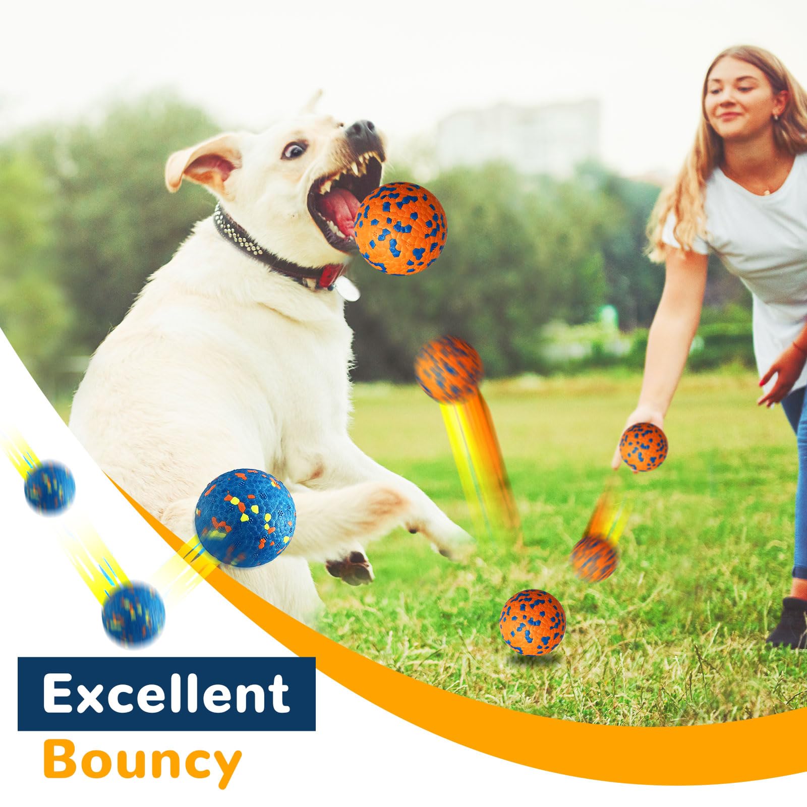 Petcare dog ball used for an outdoor game of fetch.