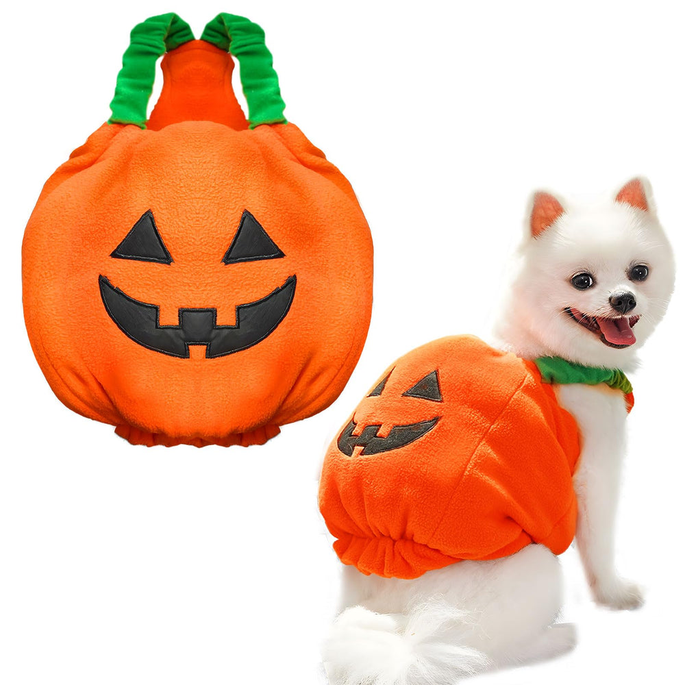 Petcare pumpkin costume shown from the front with its Halloween pumpkin design.