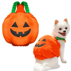 Petcare pumpkin costume shown from the front with its Halloween pumpkin design.