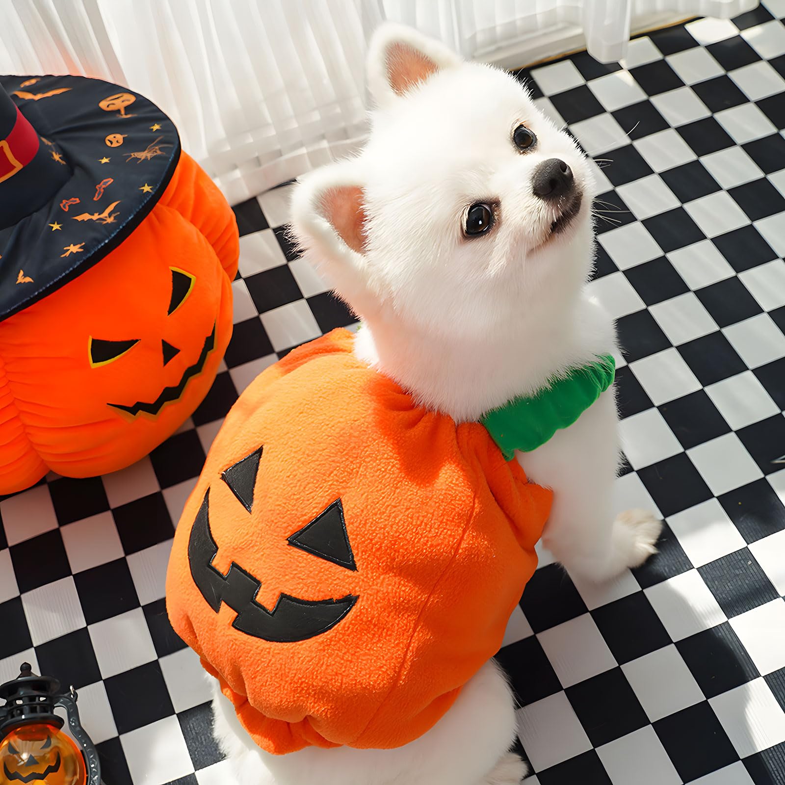 Petcare pumpkin costume detail showing its plush cotton lining.
