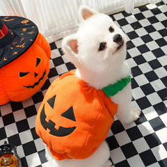 Petcare pumpkin costume detail showing its plush cotton lining.