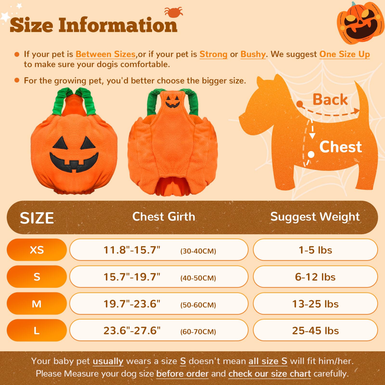 Petcare pumpkin costume worn by a small dog for Halloween dress-up.
