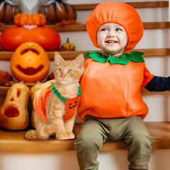 Petcare pumpkin costume showing the pullover design for dressing a pet.