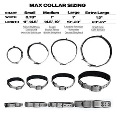 PetiFine dog collar showing the adjustable webbing strap.
