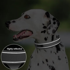 PetiFine dog collar reflective stitching detail on the straps.