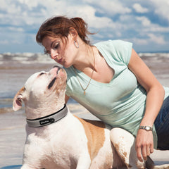 PetiFine dog collar shown from a side angle.