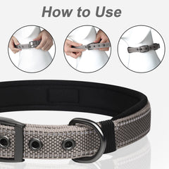 PetiFine grey dog collar shown being worn by a dog.