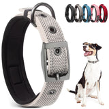 PetiFine medium dog collar shown from the front in grey.
