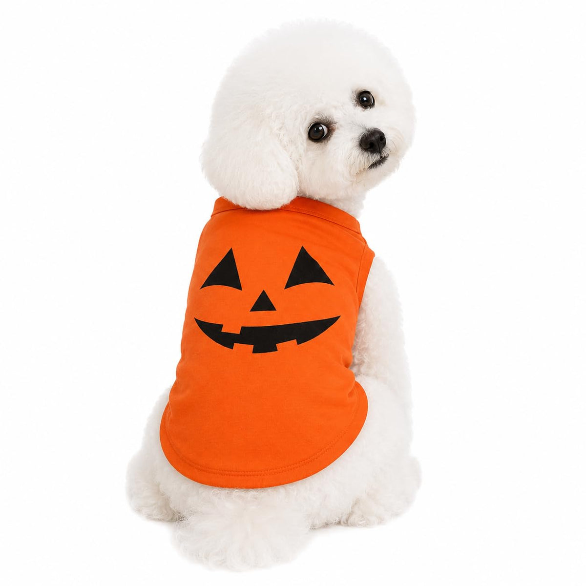 Petitebella Pumpkin Face Puppy Dog Shirt shown from the front in orange.