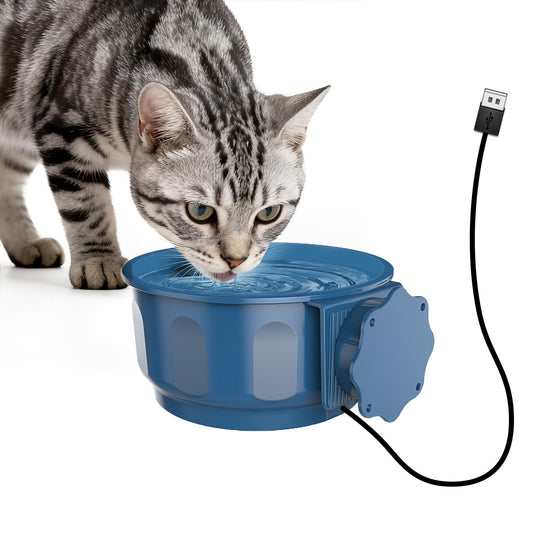 PETLESO heated pet bowl shown from the front in blue.