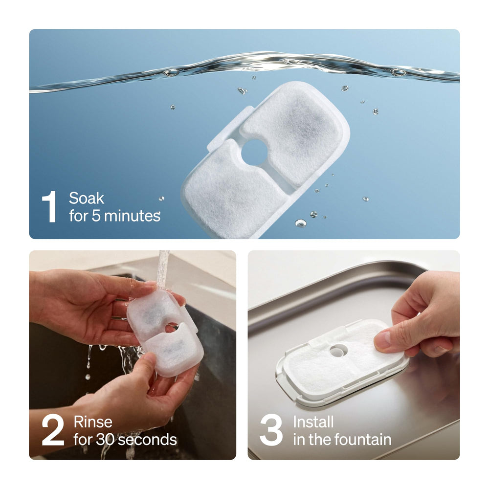 PETLIBRO replacement filter shown installed in a compatible fountain from an angled view.