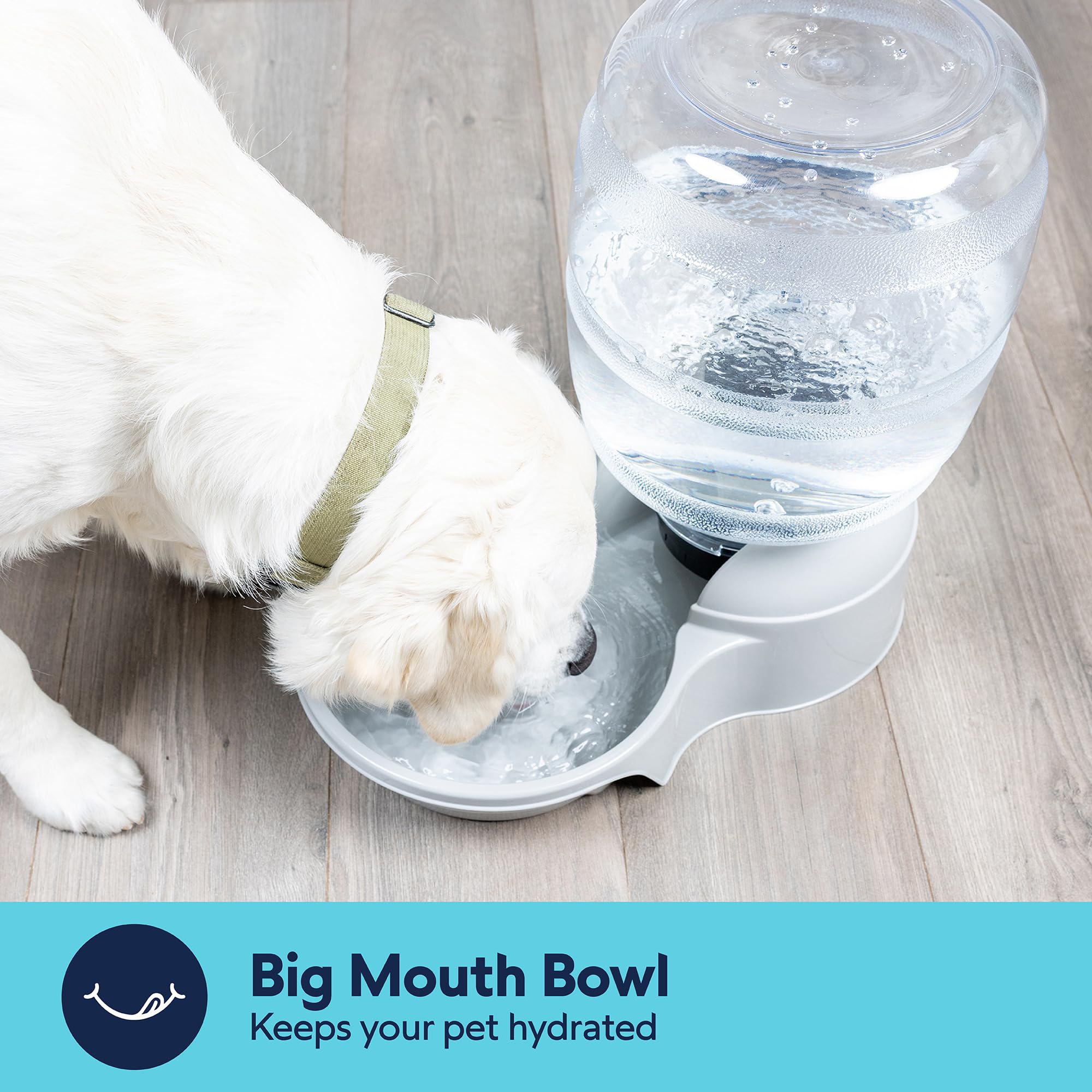 Petmate Aspen Pet Lebistro water dispenser shown while a cat drinks.