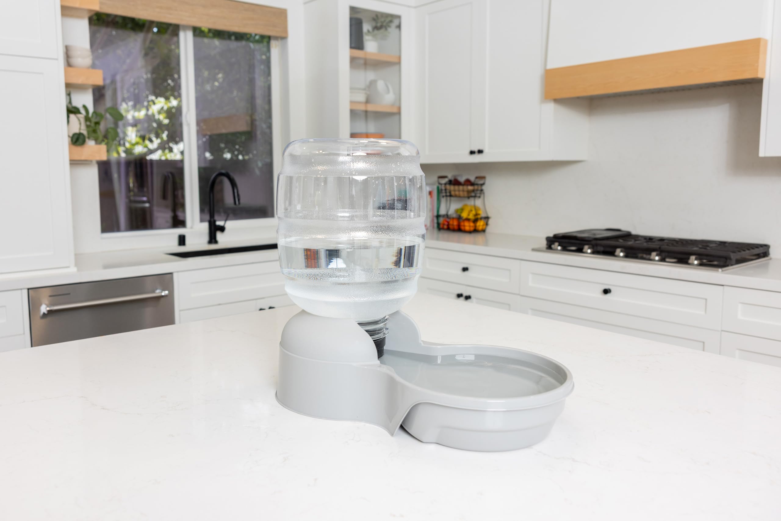 Petmate Aspen Pet Lebistro water dispenser shown while a dog drinks.