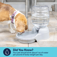 Petmate Aspen Pet LeBistro water dispenser providing water for a pet.