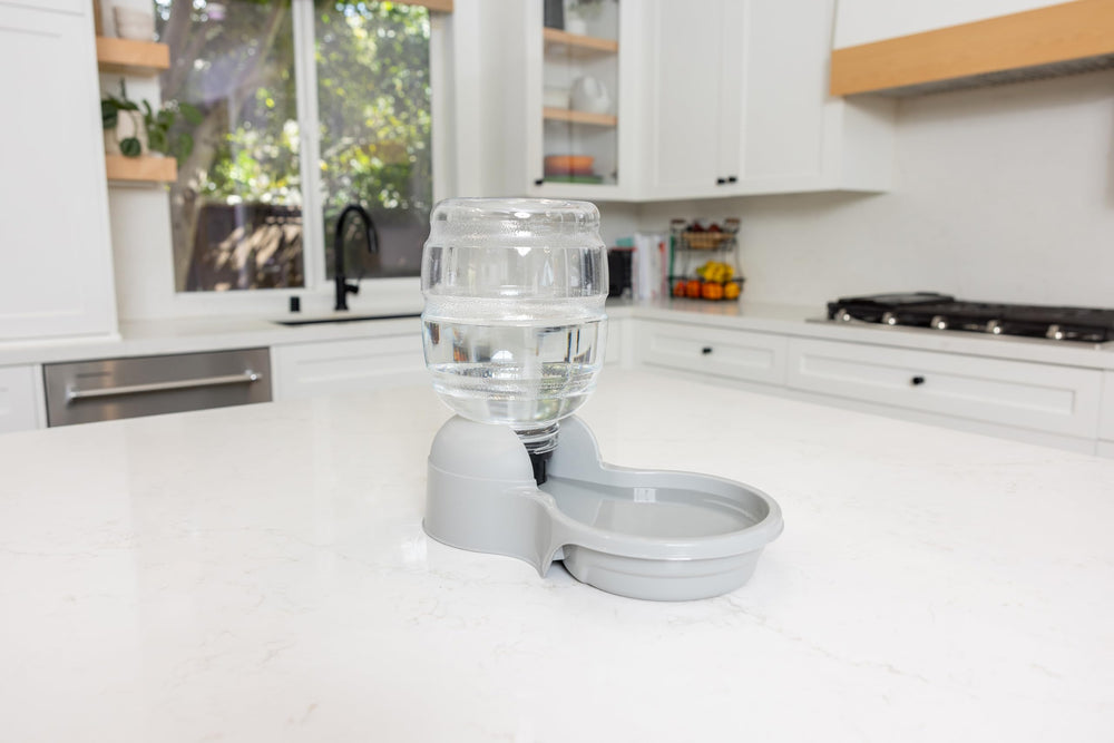 Petmate Aspen Pet LeBistro water dispenser showing the twist-lock bottle connection.