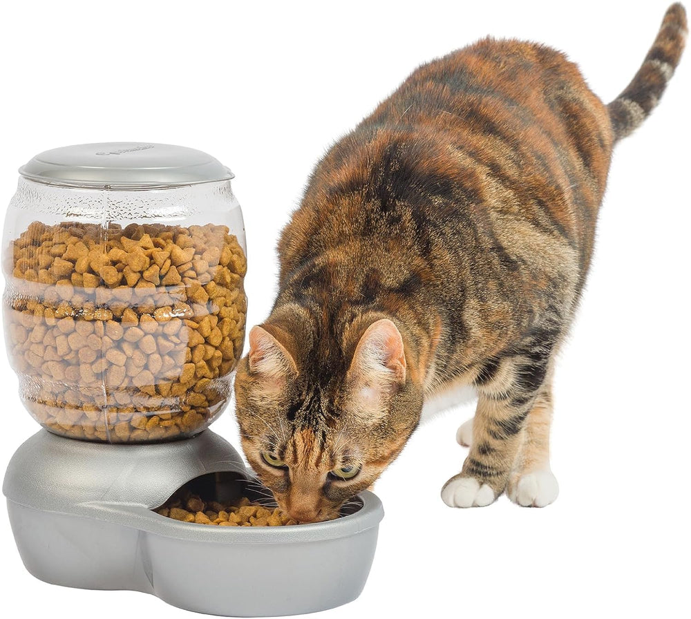 Petmate Replendish feeder shown while a dog eats from the dish.