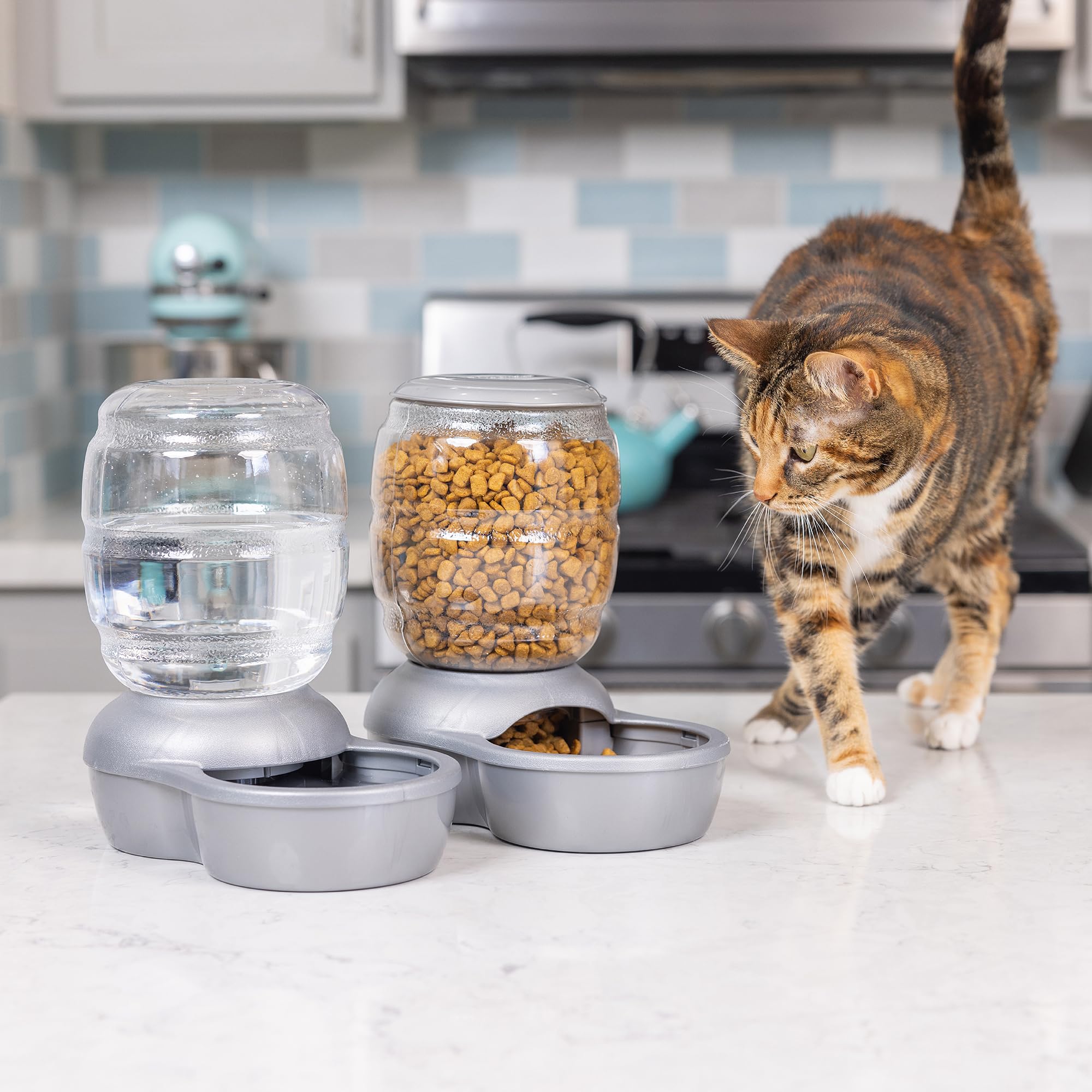 Petmate Replendish feeder showing the top opening for adding dry food.