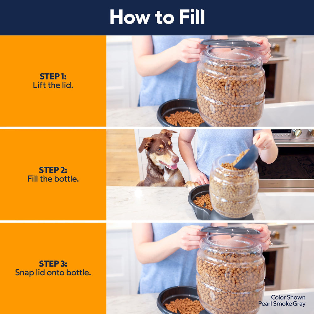 Petmate Replendish Gravity Feeder providing dry food to a cat.