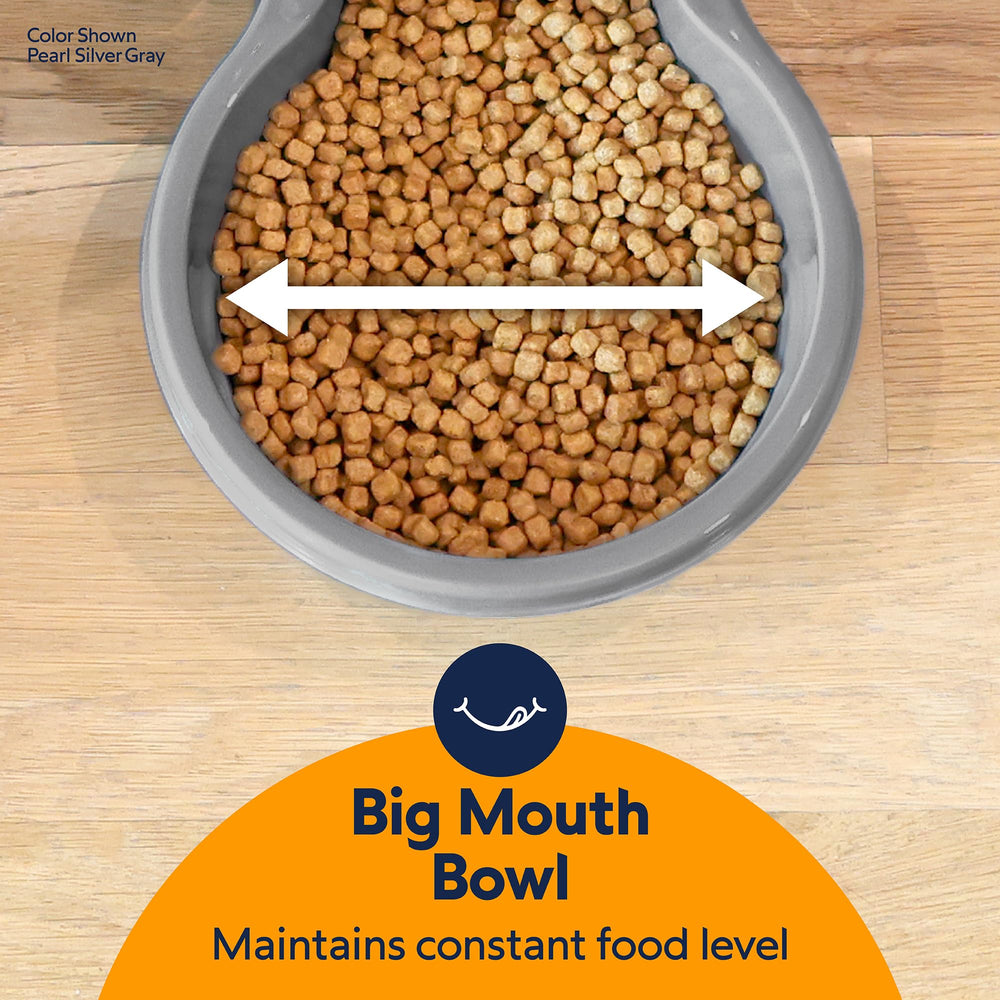 Petmate Replendish Gravity Feeder wide-mouth food dish shown close up.