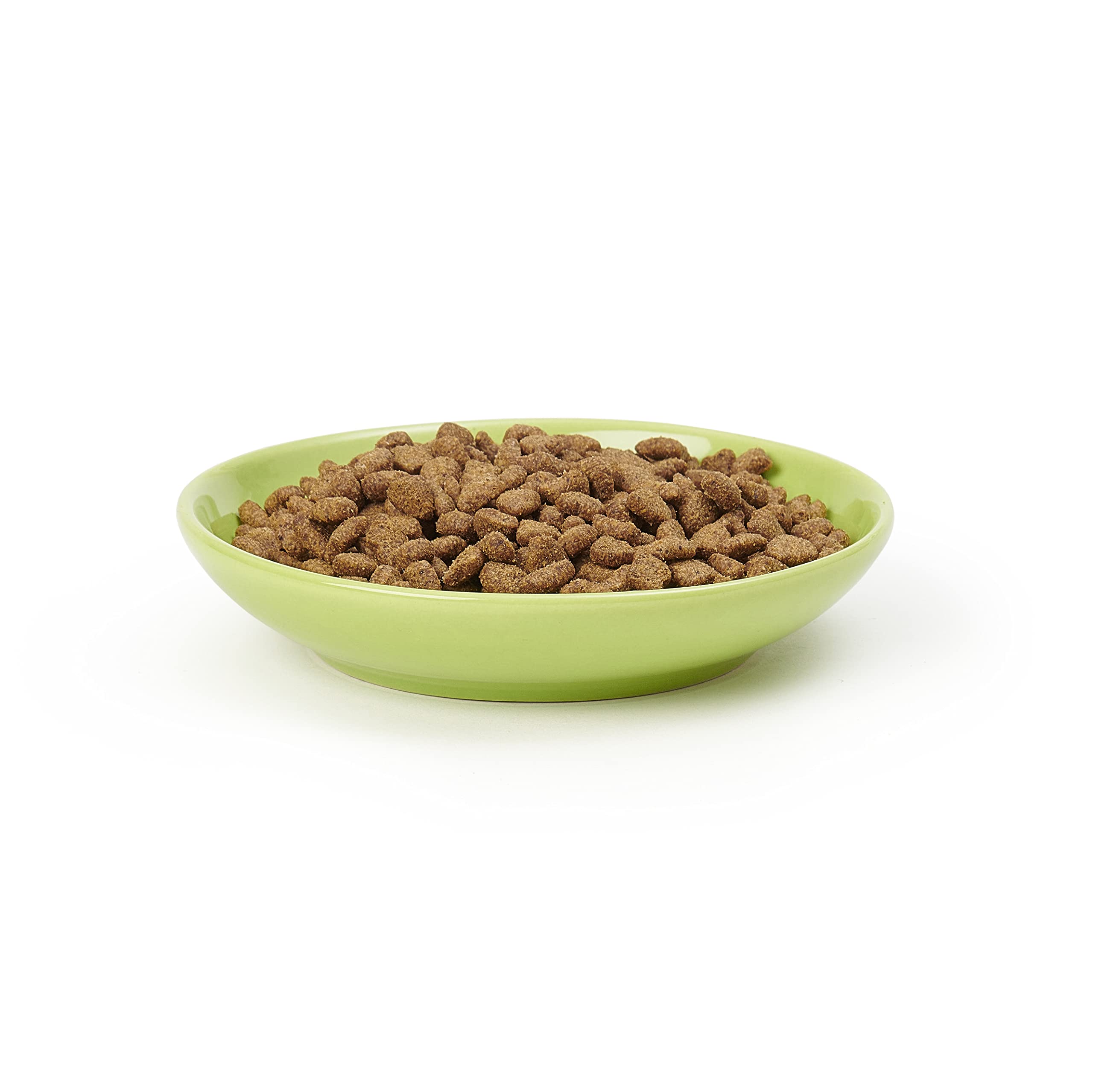 Petrageous Silly Kitty cat saucer shown serving cat food.