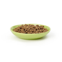 Petrageous Silly Kitty cat saucer shown serving cat food.