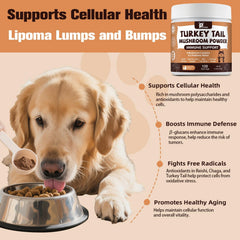 Petrivium Turkey Tail Mushroom powder featuring its blend of nine mushrooms.