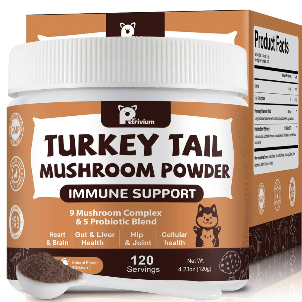 Petrivium Turkey Tail Mushroom powder supplement shown from the front.