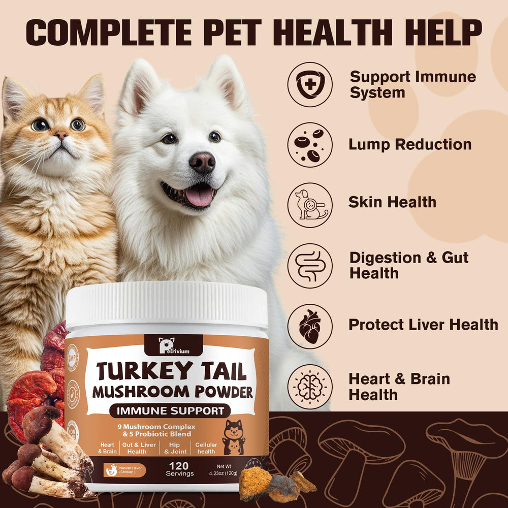 Petrivium Turkey Tail Mushroom powder package shown with its product label.