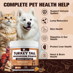 Petrivium Turkey Tail Mushroom powder package shown with its product label.