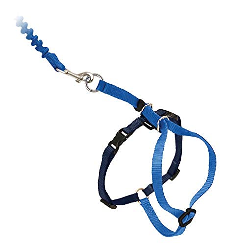 PetSafe cat harness showing its two adjustment points.