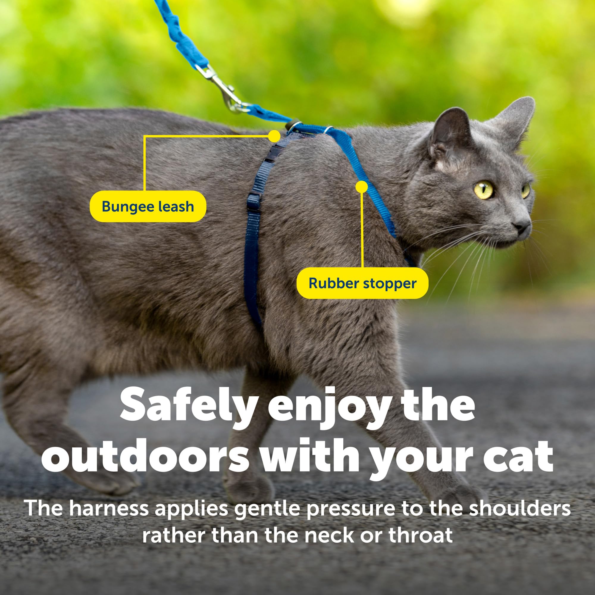 PetSafe cat harness shown attached to its bungee leash.