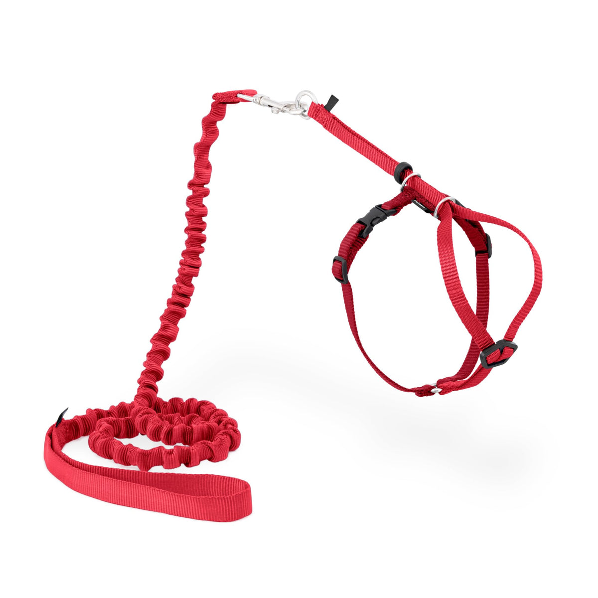 PetSafe Come With Me Kitty Harness and Bungee Leash shown from the front.