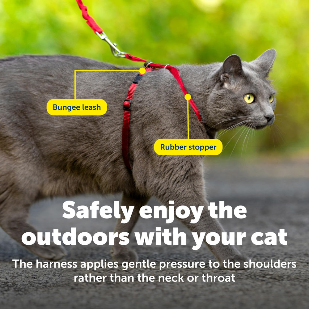 PetSafe Come With Me Kitty Harness shown from the side.