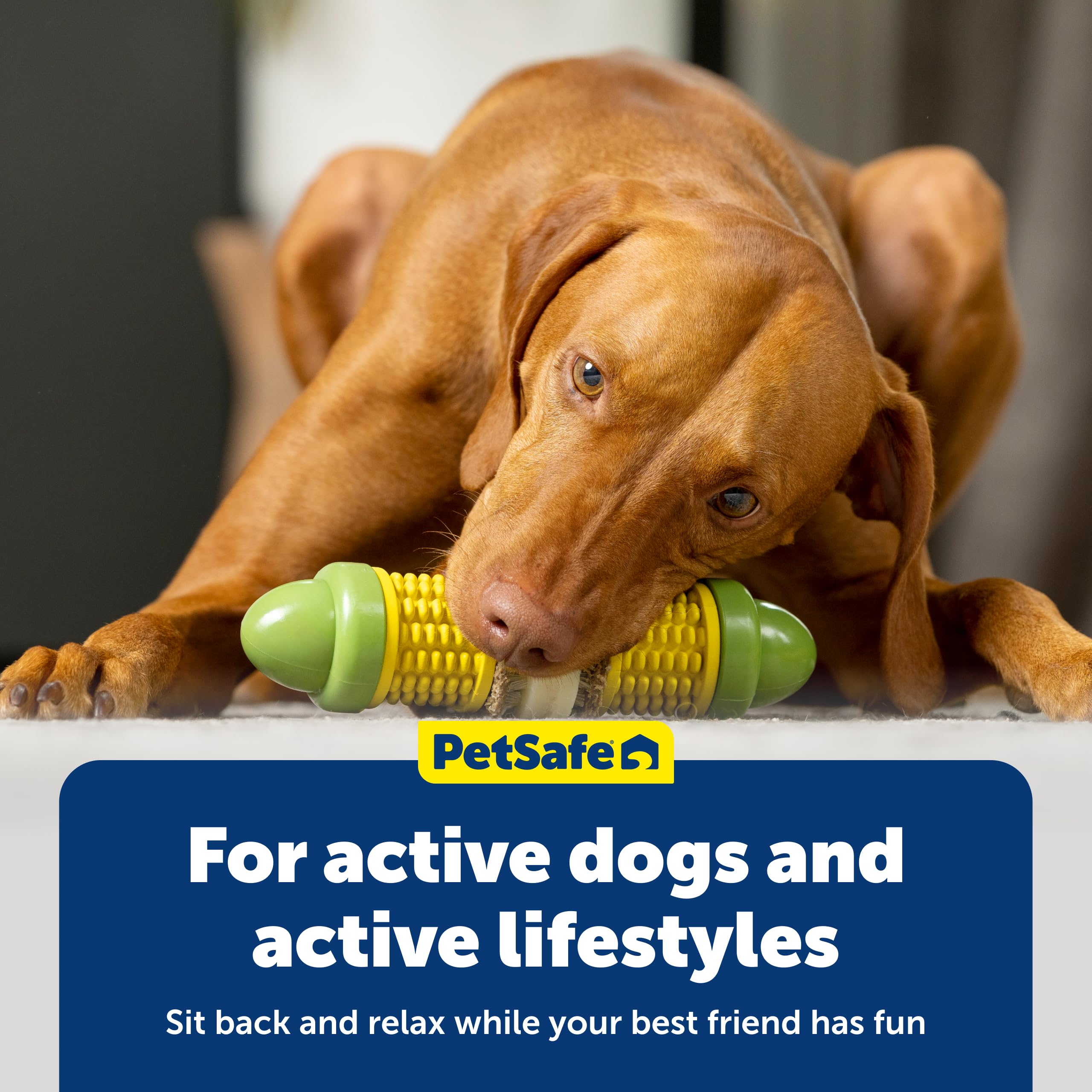 PetSafe Busy Buddy Cravin Corncob dog toy with a treat spread on the kernels.