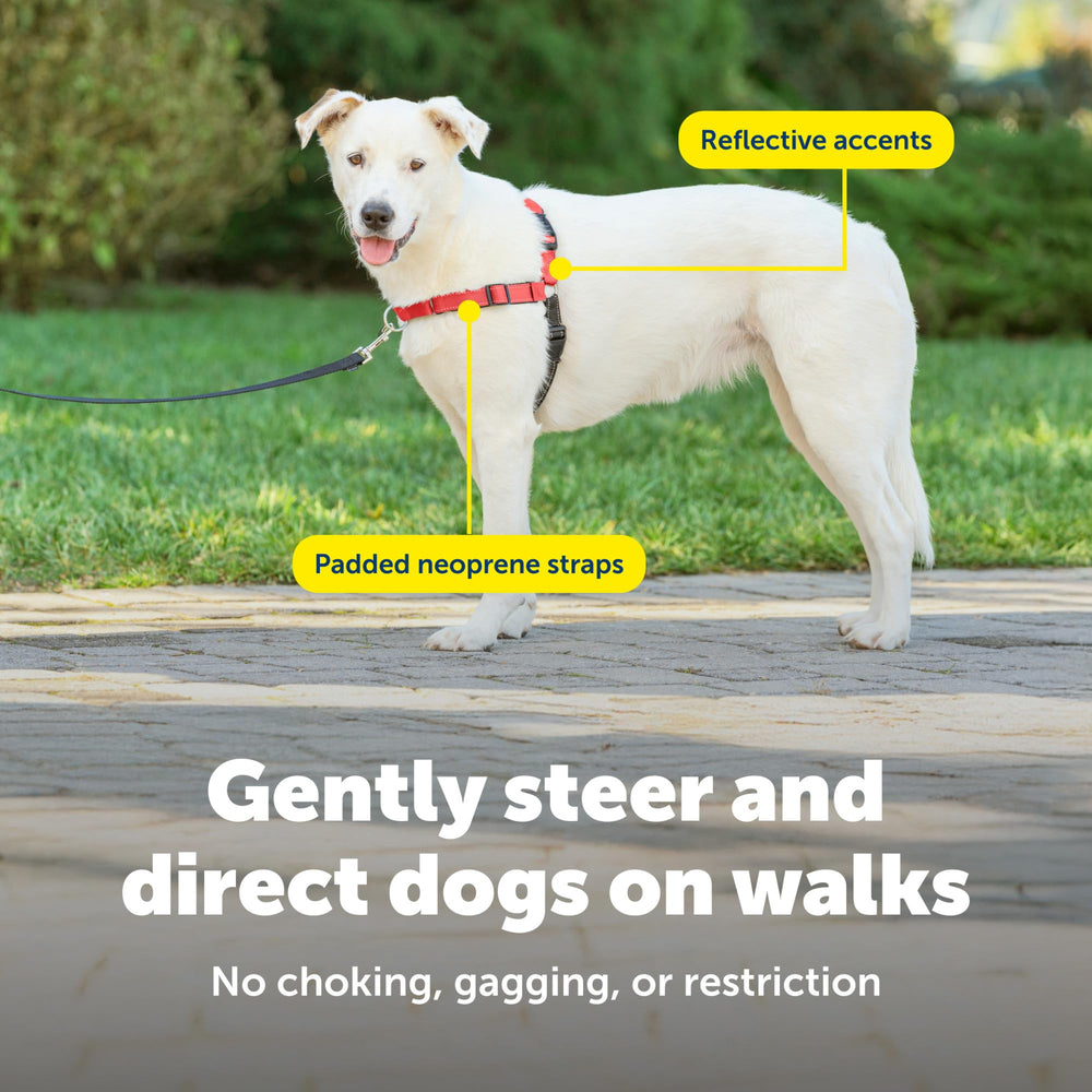 PetSafe Deluxe Easy Walk Harness close-up of the front chest leash attachment.