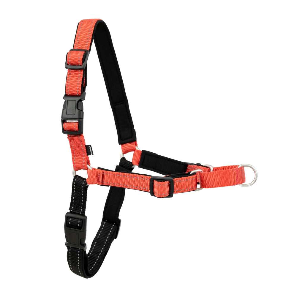 PetSafe Deluxe Easy Walk Harness shown from the front.
