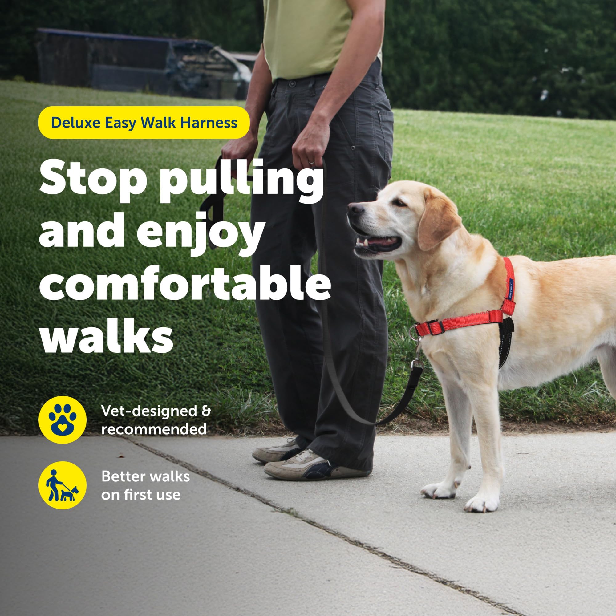 PetSafe Deluxe Easy Walk Harness close-up of its padded neoprene straps.