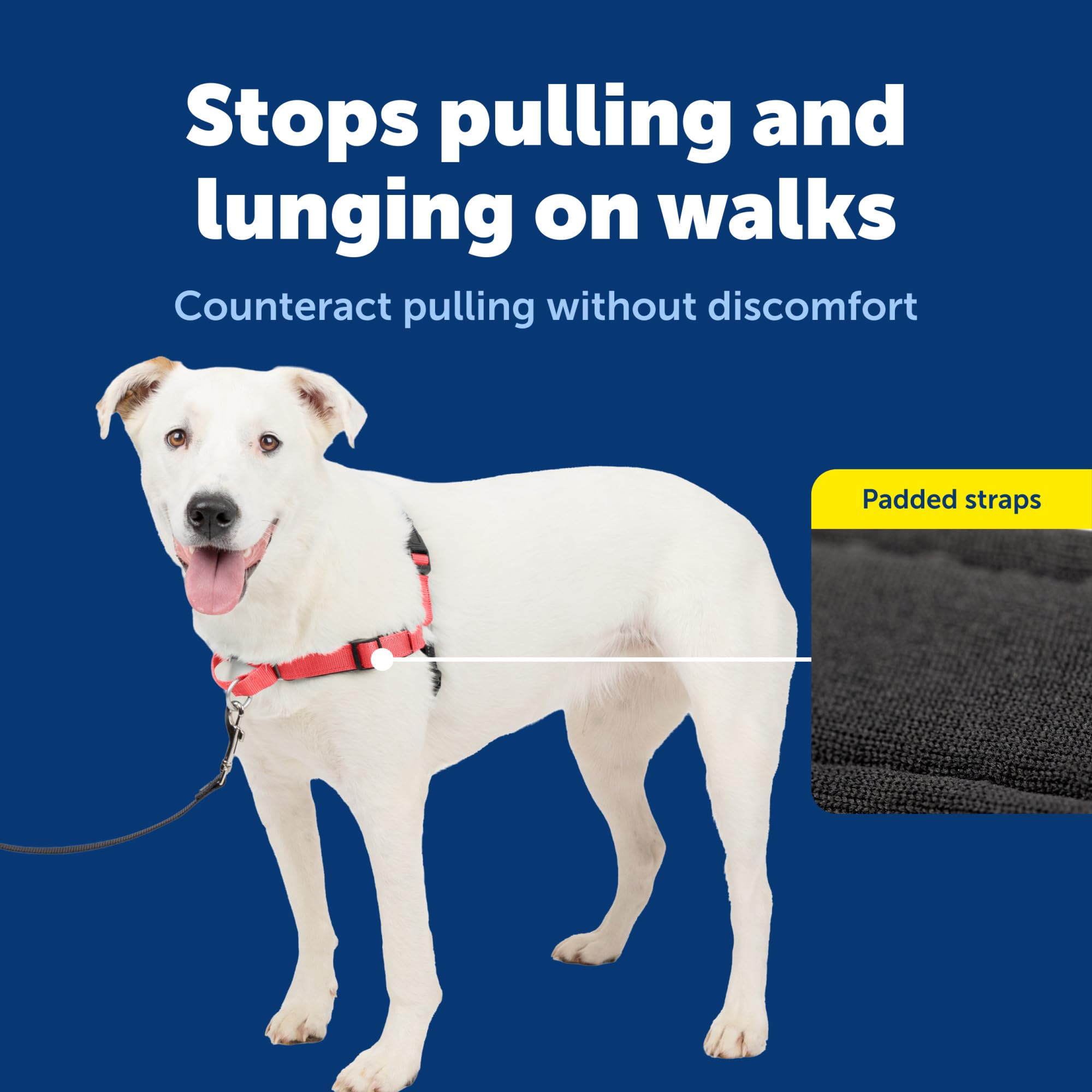 PetSafe Deluxe Easy Walk Harness detail showing the reflector strips.