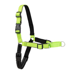 PetSafe Deluxe Easy Walk dog harness shown from the front in apple green.
