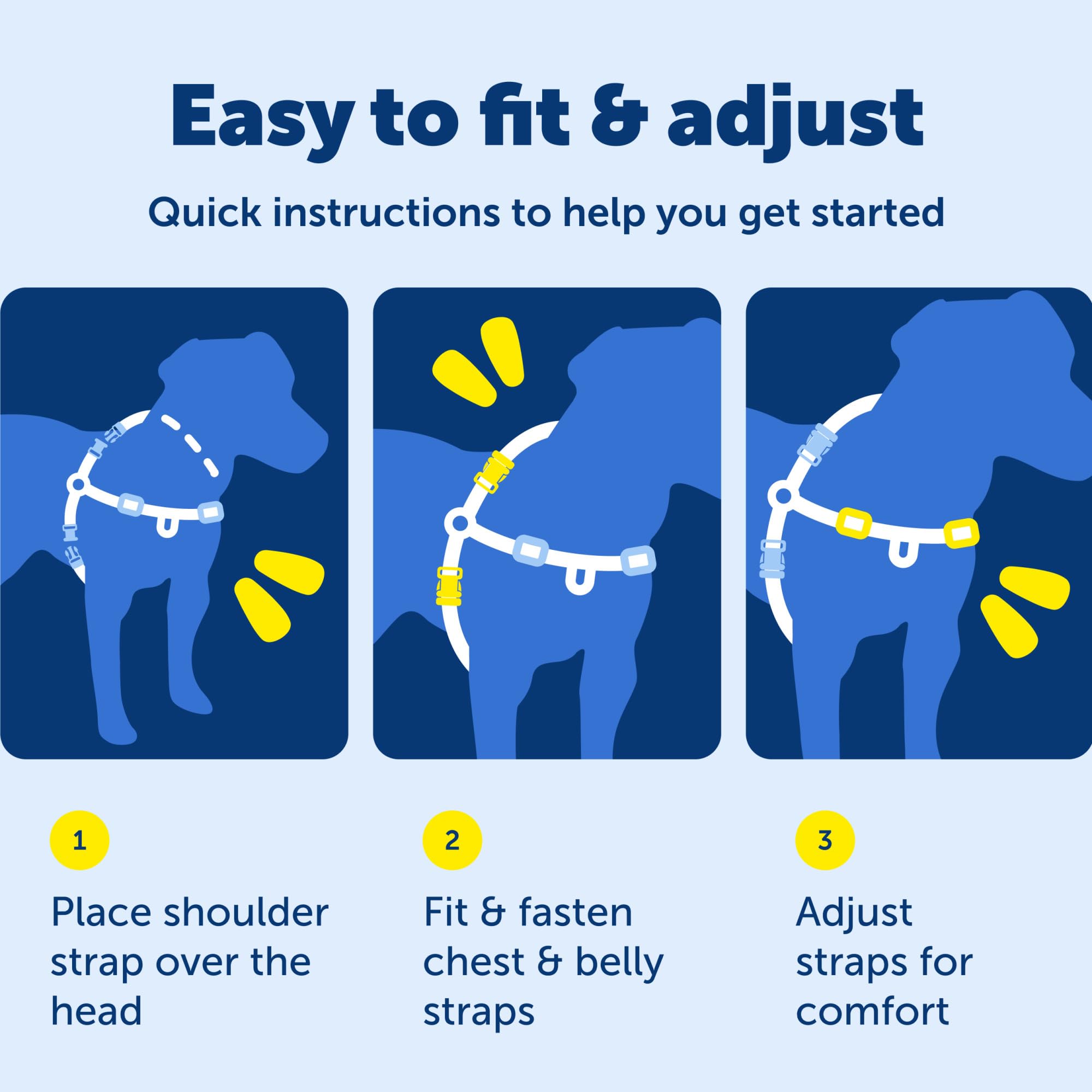 PetSafe Deluxe Easy Walk dog harness close-up of the patented martingale loop.