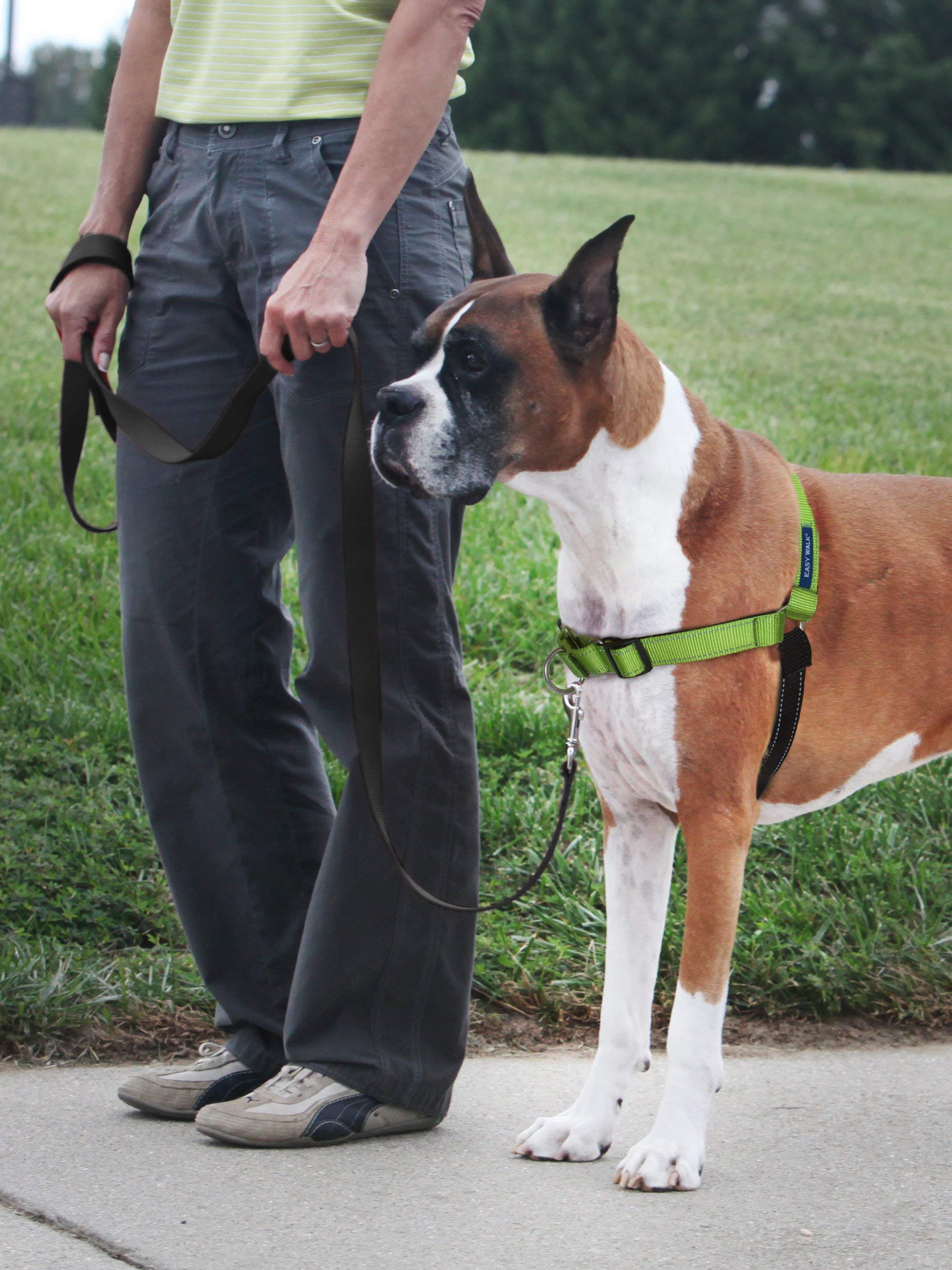 PetSafe Deluxe Easy Walk dog harness close-up of its padded neoprene straps.