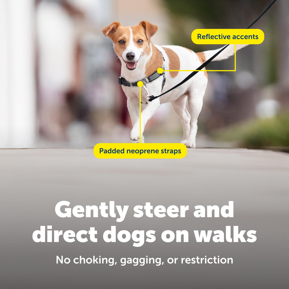 PetSafe Deluxe Easy Walk dog harness fitted on a dog for a walk.
