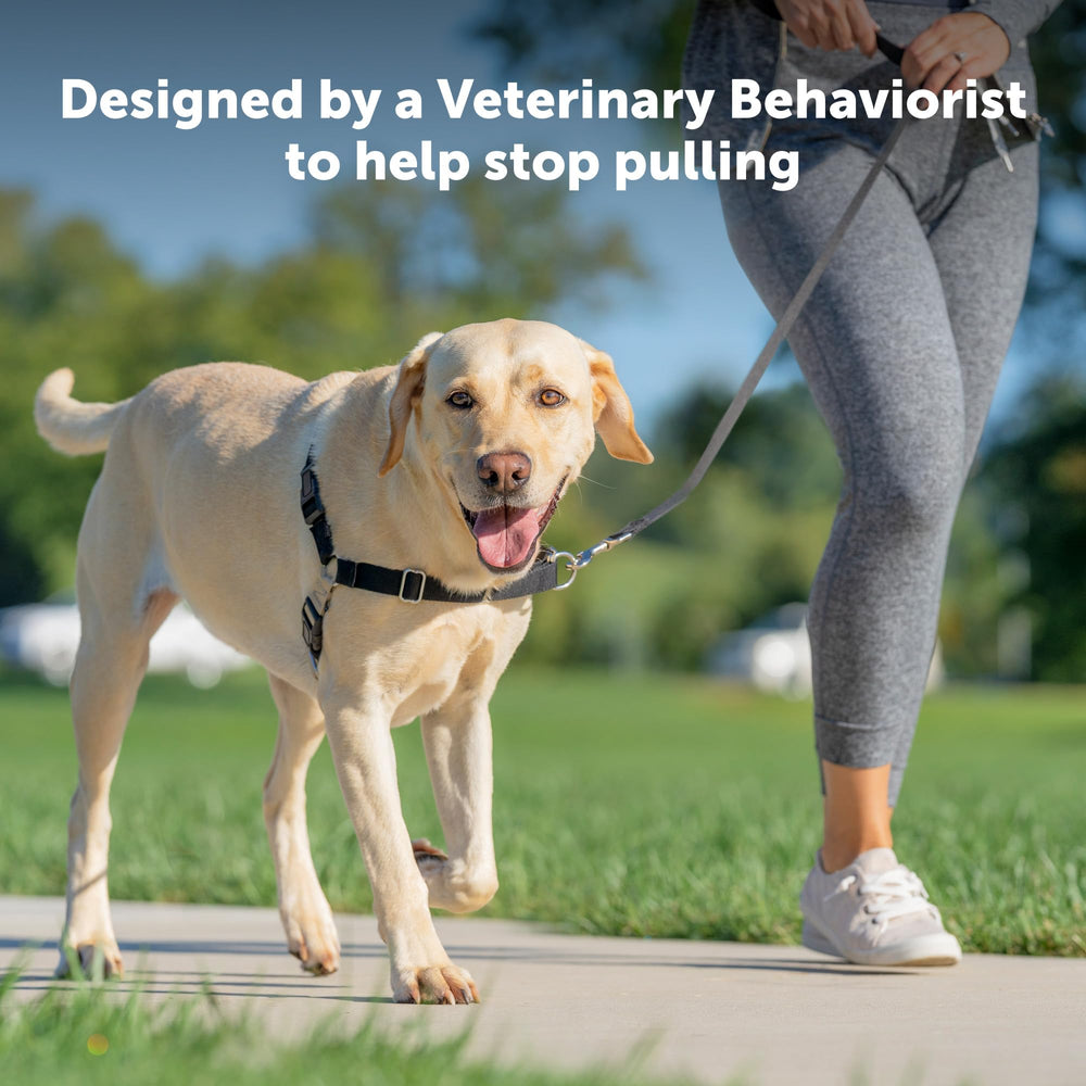 PetSafe Easy Walk Harness showing its contrasting belly strap.