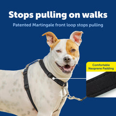 PetSafe Easy Walk 3 in 1 No Pull Dog Harness showing its front leash attachment.