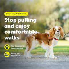 PetSafe Easy Walk harness padded neoprene straps shown in detail.
