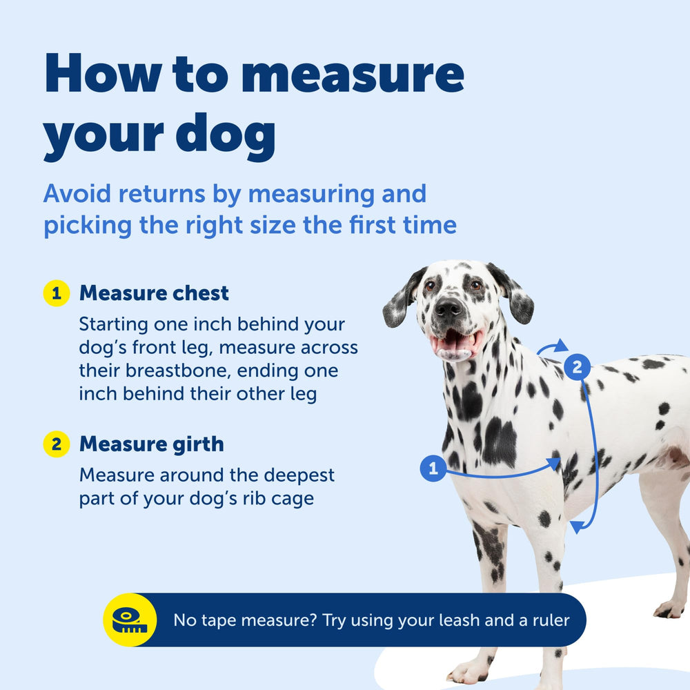 PetSafe Easy Walk harness shown fitted on a dog.
