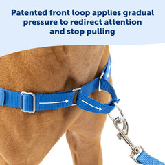 PetSafe Easy Walk Harness worn by a dog on a walk.
