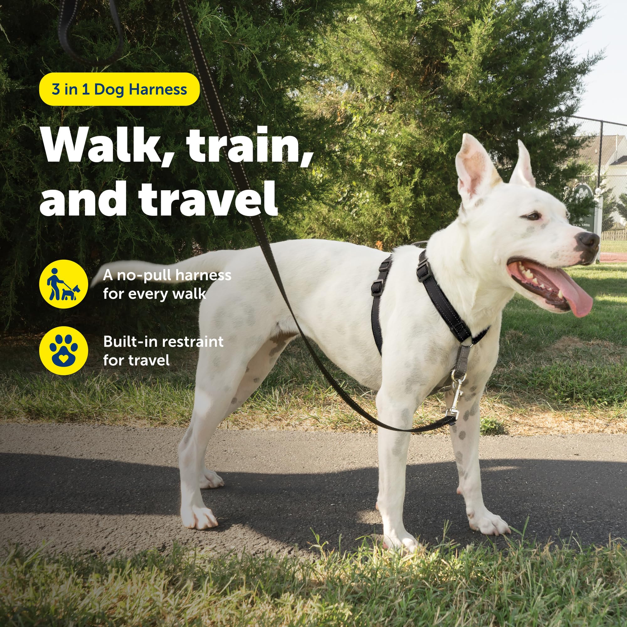 PetSafe Easy Walk 3 in 1 No Pull Dog Harness packaging for the medium black harness.