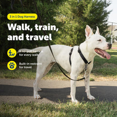 PetSafe Easy Walk 3 in 1 No Pull Dog Harness packaging for the medium black harness.